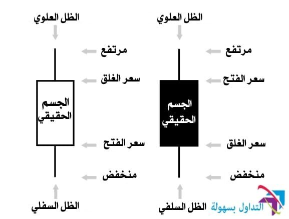 مدخل الى الرسوم البيانية في سوق تجارة العملات الاجنبية الرسوم البيانية