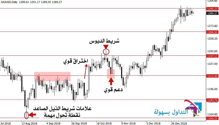 إستخدام حركة السعر على شارت الشموع بطريقة صحيحة حركة السعر