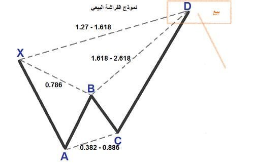 نموذج الفراشة Butterfly pattern | تحديد نهاية حركة الاتجاه نموذج الفراشة