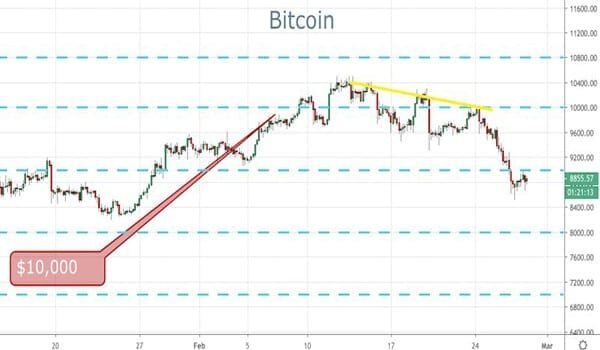 عملة البيتكوين عملة البيتكوين