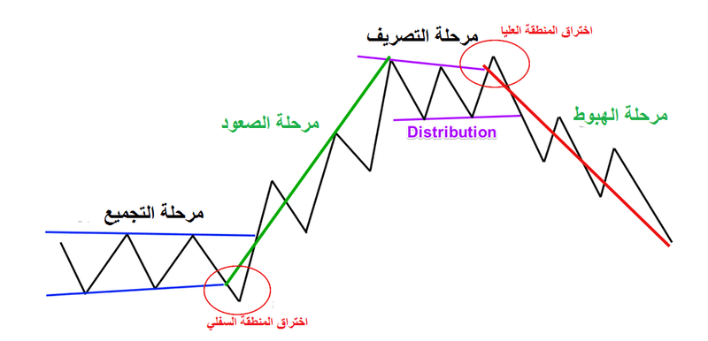 ما هي نظرية وايكوف؟ شرح مناطق التصريف والتجميع وايكوف