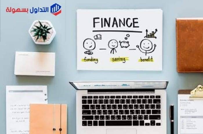 العملات المهجنة | ماهي وما المقصود بها؟ العملات المهجنة