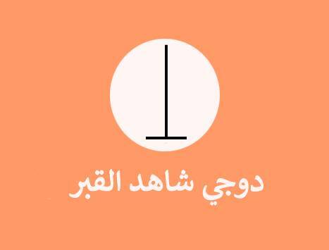 اشكال شمعة دوجي اشكال شمعة دوجي