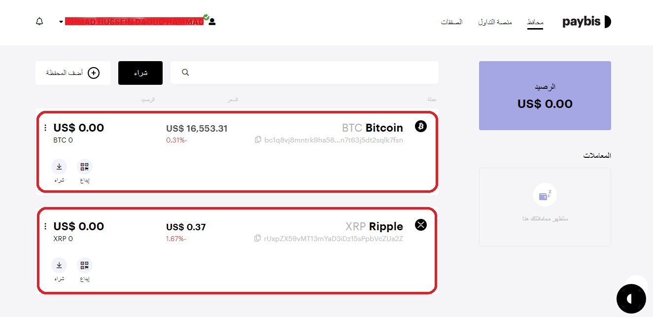 شرح منصة Paybis بالتفصيل