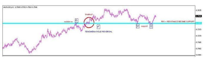 استراتيجية CSR100