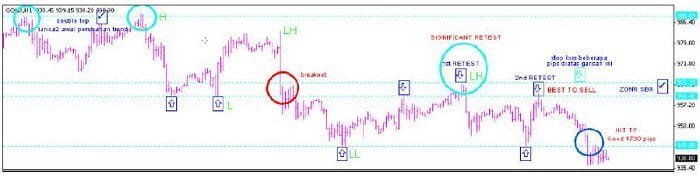 استراتيجية CSR100