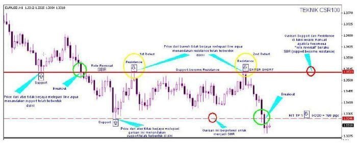 استراتيجية CSR100 