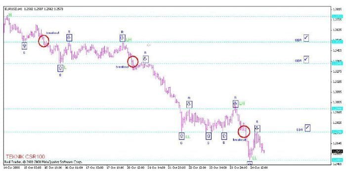 استراتيجية CSR100