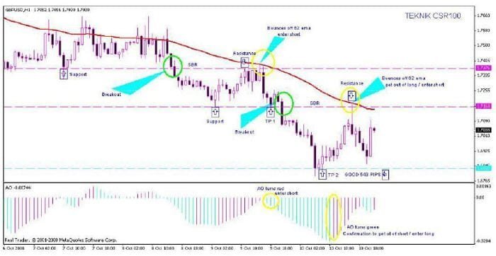 استراتيجية CSR100 