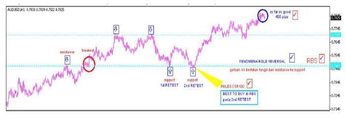 استراتيجية CSR100 