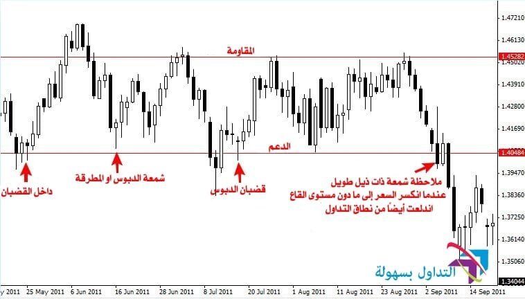 الدعم والمقاومة