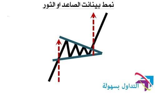  أنماط حركة السعر 