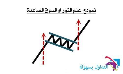  أنماط حركة السعر 