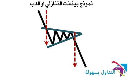 أنماط حركة السعر 