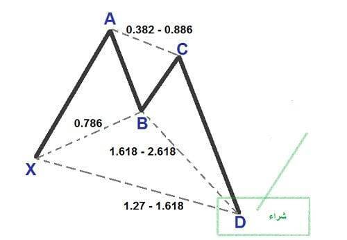 نموذج الفراشة