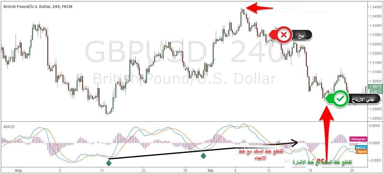 إستراتيجية مؤشر الماكد مع خط الاتجاه إستراتيجية مؤشر الماكد