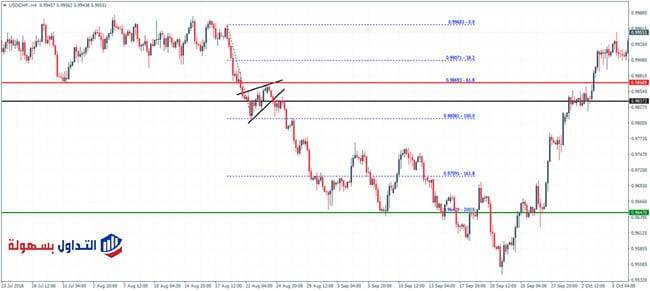 نموذج الراية 