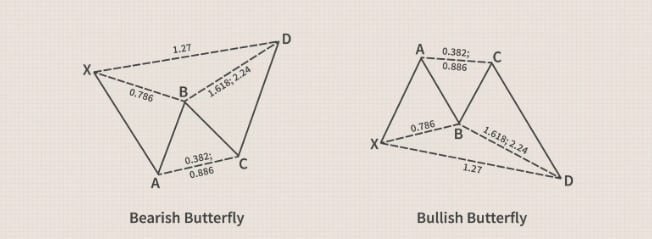 نماذج الهارمونيك