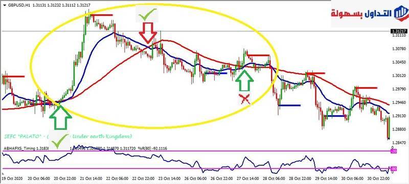 سوق الفوركس 