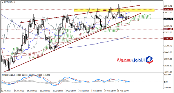 سعر البيتكوين مباشر