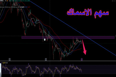 سهم الأسماك. متى ينتهي خمول سوق الأسهم السعودي؟