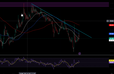 سهم الأسماك يواجه ضغوطًا سلبية رغم ارتفاعه اليوم بنسبة 1.12%