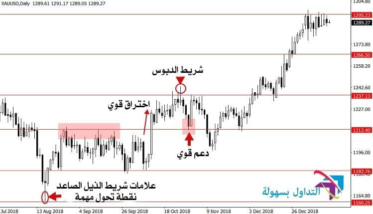 إستخدام حركة السعر على شارت الشموع بطريقة صحيحة حركة السعر