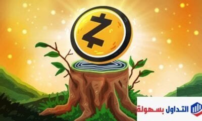 افضل 7 انواع العملات الرقمية هي الأكثر شهرة على الإطلاق انواع العملات الرقمية